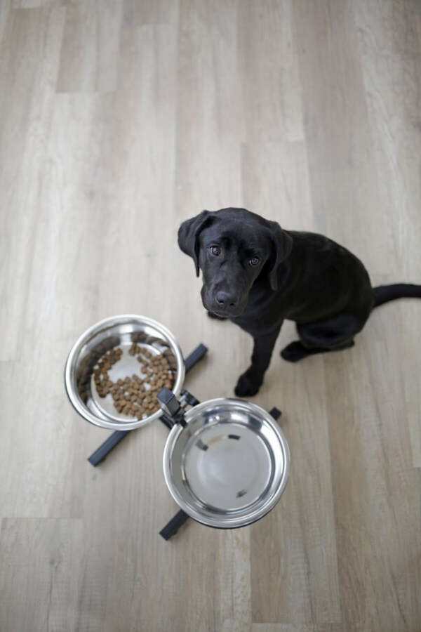 KERBL Napf Futterbar